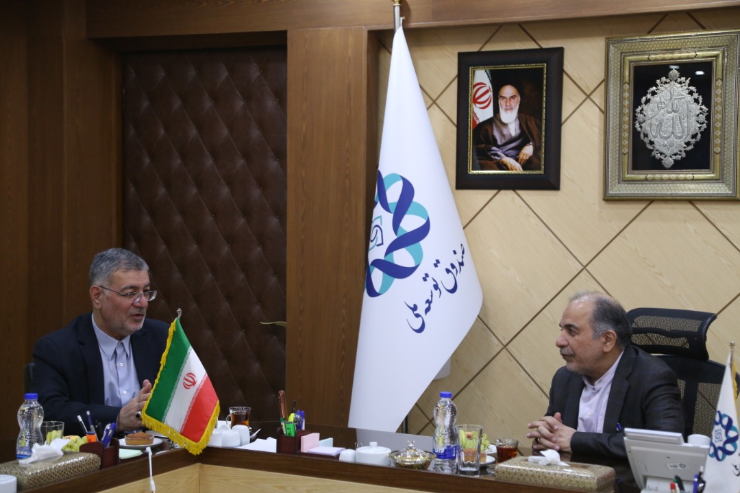 توسعه دیپلماسی اقتصادی ایران در کشورهای منطقه با محوریت صندوق توسعه ملی