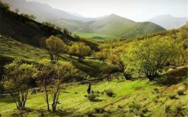 ایرنا- مدیرکل منابع طبیعی و آبخیزداری آذربایجان غربی گفت: هفت میلیارد ریال اعتبار از محل صندوق توسعه ملی برای ارتقای توانمندی های یگان حفاظت منابع طبیعی در استان اختصاص یافته است.