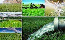 ایرنا- رییس سازمان جهاد کشاورزی کردستان گفت: ۷۲۵ میلیارد ریال از محل منابع صندوق توسعه ملی و بیش از ۱۳۹ میلیارد ریال از محل کمک بلاعوض آبیاری تحت فشار در نیمه نخست امسال در استان جذب شده است.